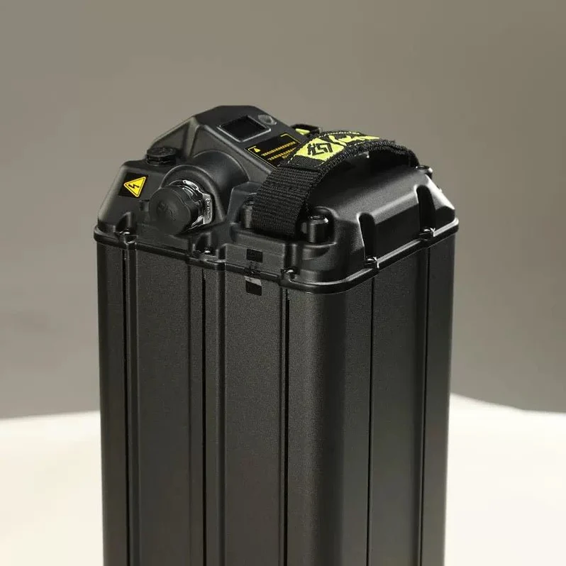 Light Bee S Lithium Battery (48V/20Ah)